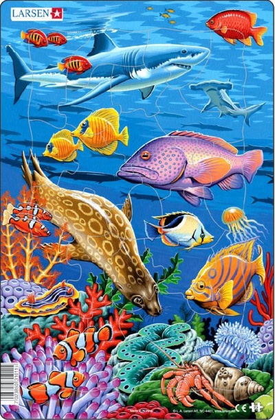 Пазл «Коралловые рифы», Larsen